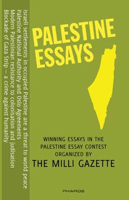 Palestine Essays